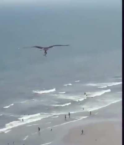 Ela salvou um peixe de se afogar,a natureza e mesmo linda!