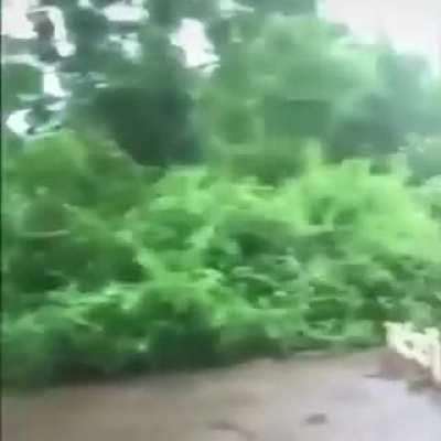 La paz antes de la guerra 🔪