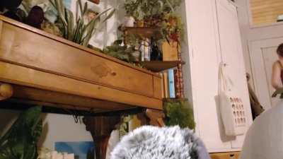 ASMR Noir Upskirt (short)