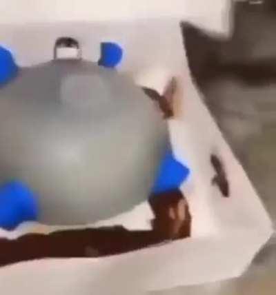 Most sane Losercity resident