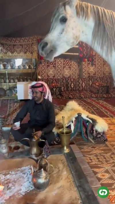 Horsy does what she wants