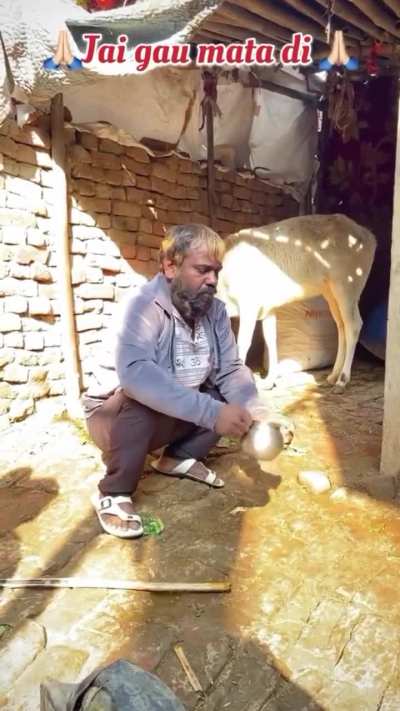 Endia has 3 seconds to explain 