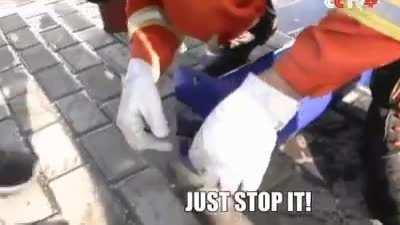 (funny) rescue of a cat by dedicated helpers