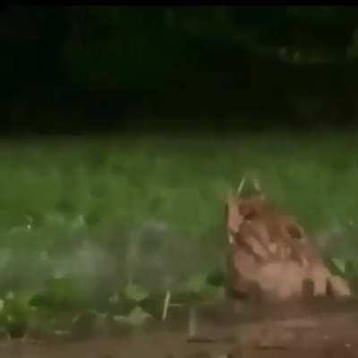 Roger the night before his execution, realizing that there are still free people out there