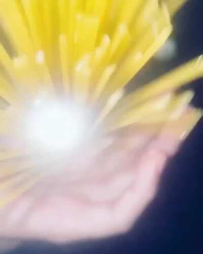 Thanks, I hate the camera man