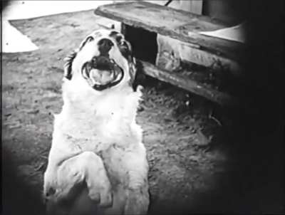 a good boy in A Romance of Happy Valley (1919)