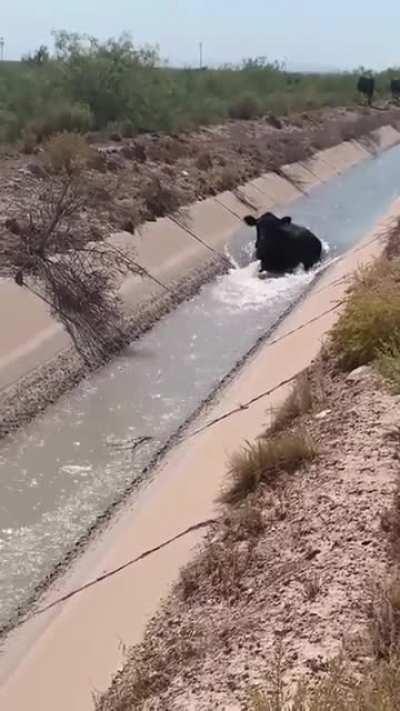 Перебои с водоснабжением