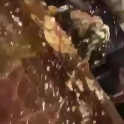 Que hijo de puta que son