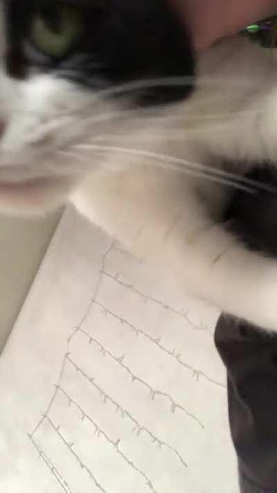 Lovable squeak from pepper. 💕