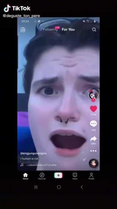 Typical cat behavior