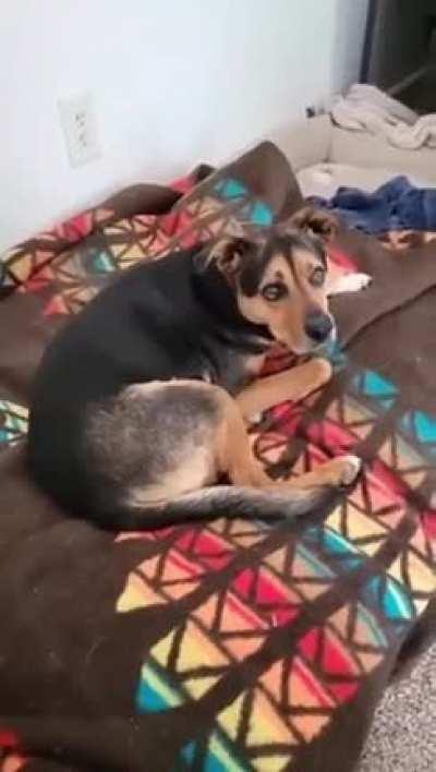 Had me in the first half