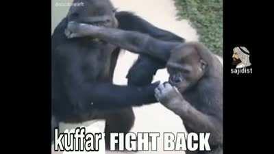 كسسسسخنتت kuffar 😳😳😳