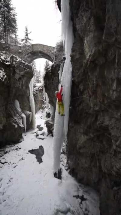 Safety Harness = wcgr