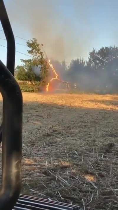 The tree hangs from the wires