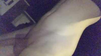 Late-night walks are the best