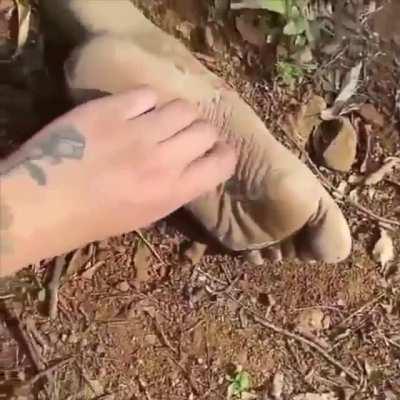 Gutschi Gutschi Gutschi Guuuuu