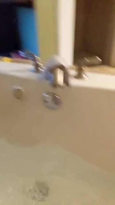 Chonker made a heckin big mistake