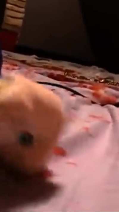 i found this video and decided to add something