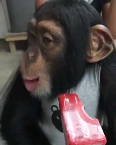 This monkey's face when he tries a Popsicle