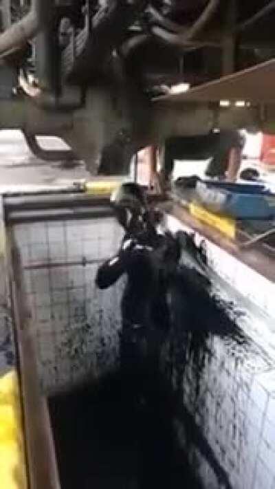 I sense a trip to the hospital after this one