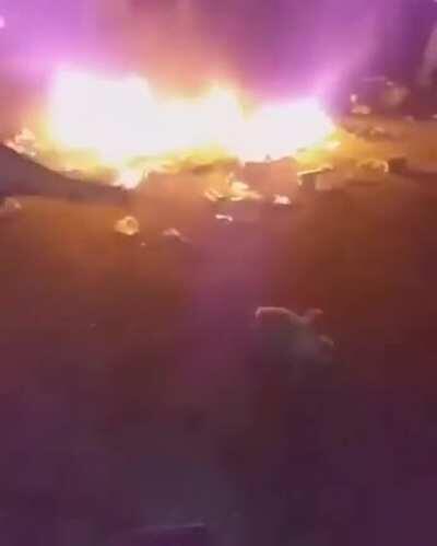 baila pingüino baila