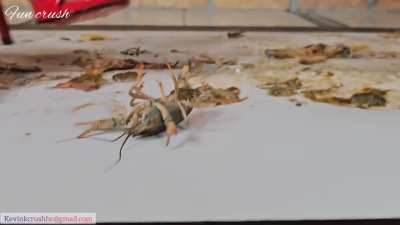 Send massage to me for buy video and custom video/ low price/ all videos with face/Do everything and enjoy your life