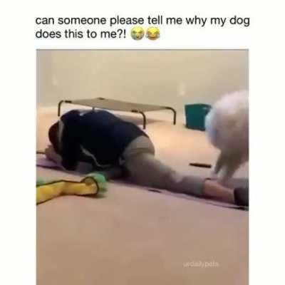 He is just trying to help