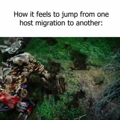 And then the migration fails so the mission's over 😊👍🏻 (pain)