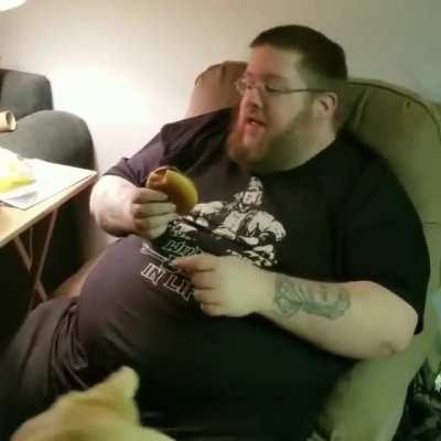 Can I has cheeseburger?