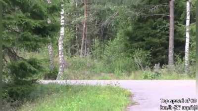 It's Cheese Wedge Chewsday!!!😊🧀