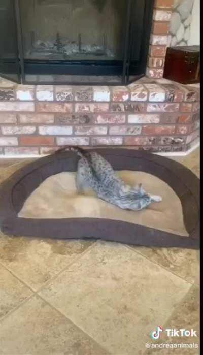 Thought you all would like this one