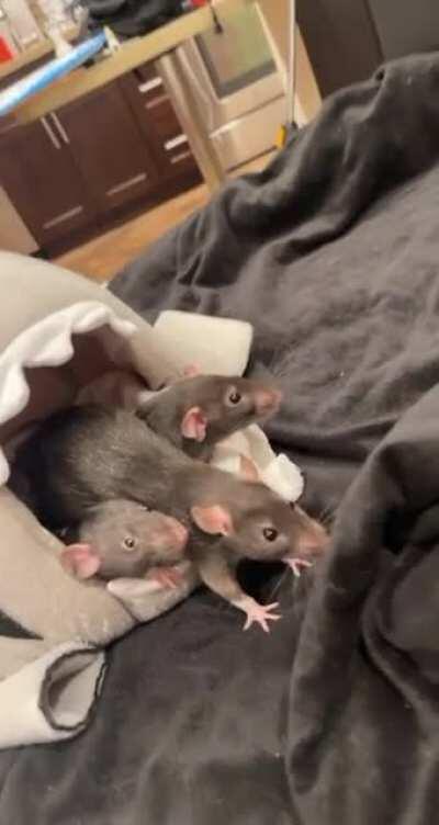 She’s a little dramatic