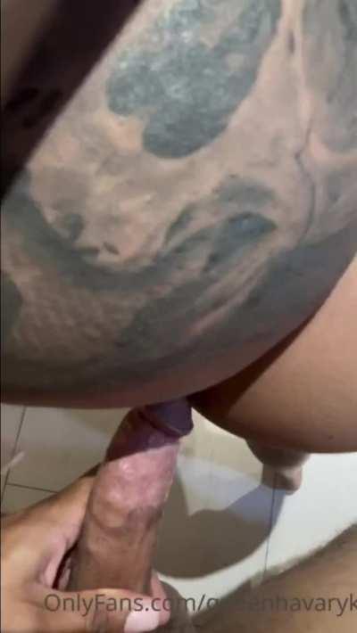 New Updated MegaLink In The Comments💬