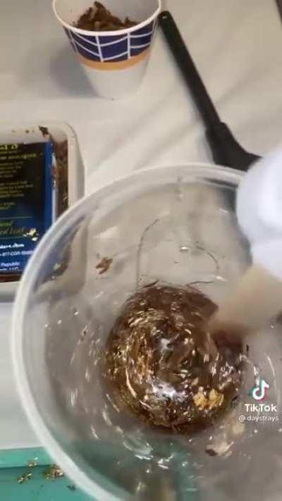 At least use some backwoods..