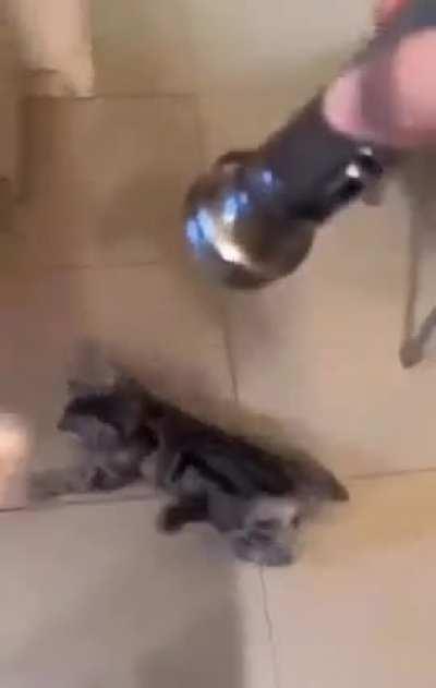 Seems like bro was very interested and concerned