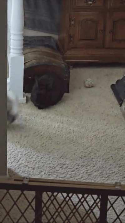 If you blink, you'll miss it