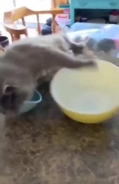 To sit in the bowl