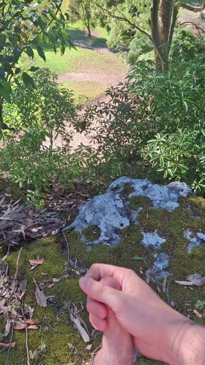 Do you think they would of stopped playing golf if they knew someone was jerking off up above them?