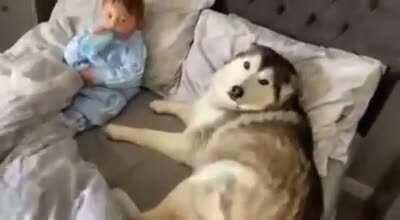 A heart warming one. Dogs are the best ❤️