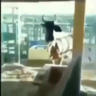 Jogadora de free fire???