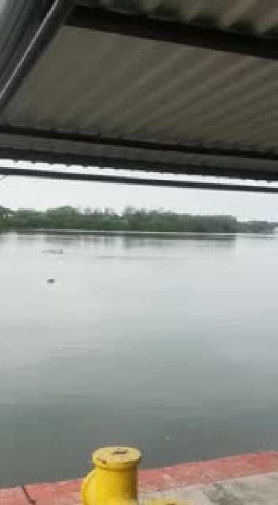 Don't ignore crocodile warnings