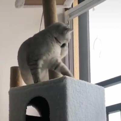 Look at this dude using his very last brain cell.