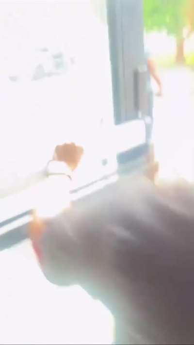 DoorDash driver assaults employees because they were busy and didn’t have his order ready yet