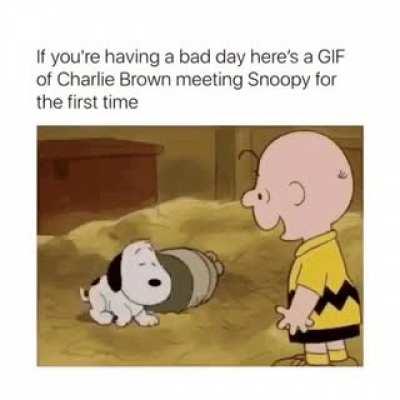 I too want me someone who loves me as much as Charlie loves Snoopy.