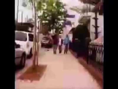 So moldy it's letting off spores