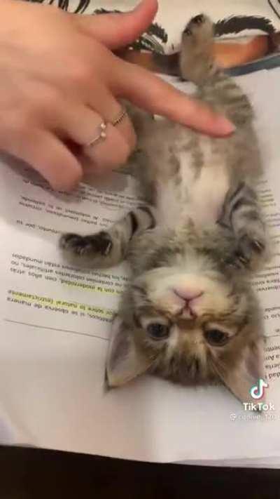 Criminal withholding homework, guilty of all charges