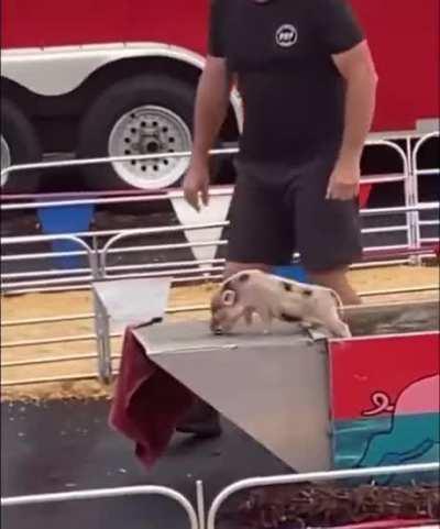 He should be in the Olympigs