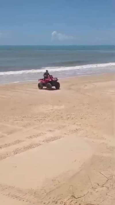 4 wheeler scorpion