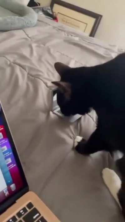 Look at this little business man!