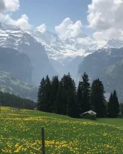 Walking The Dog in Switzerland